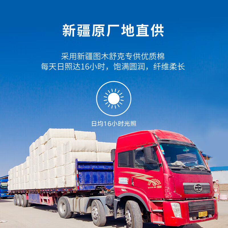 新疆棉被冬季被芯纯棉花床垫棉絮加厚双人垫被褥子单W人冬被长绒,淘宝优惠券,粉丝福利购,淘宝优惠卷