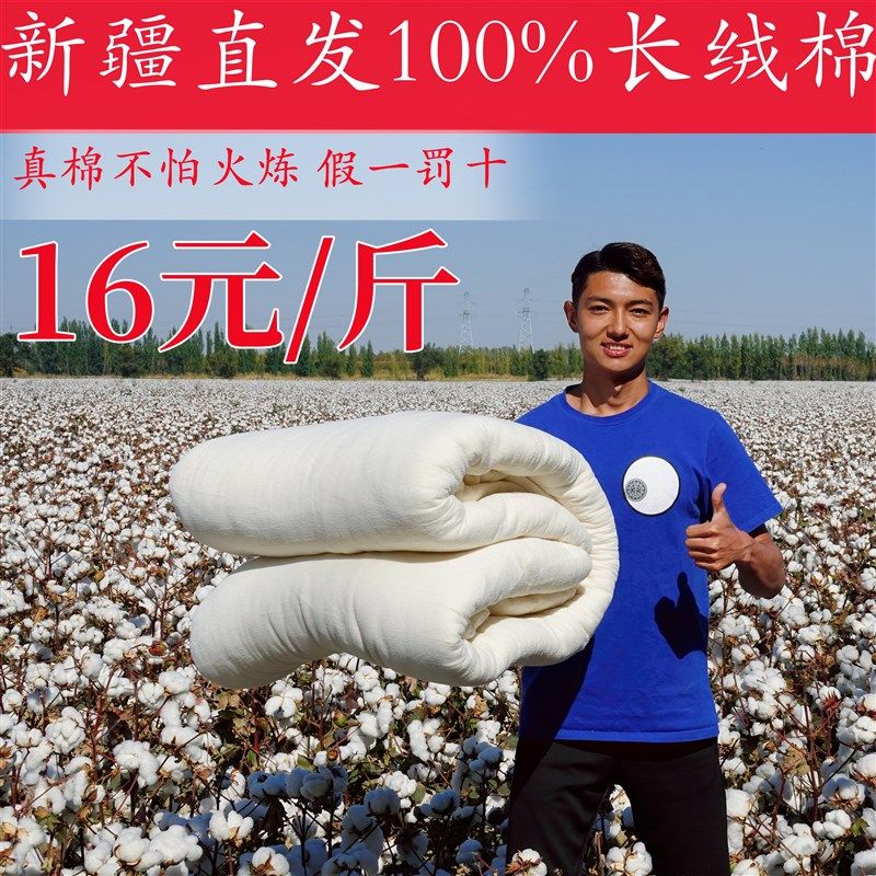 新疆棉被冬季被芯纯棉花床垫棉絮加厚双人垫被褥子单W人冬被长绒,淘宝优惠券,粉丝福利购,淘宝优惠卷