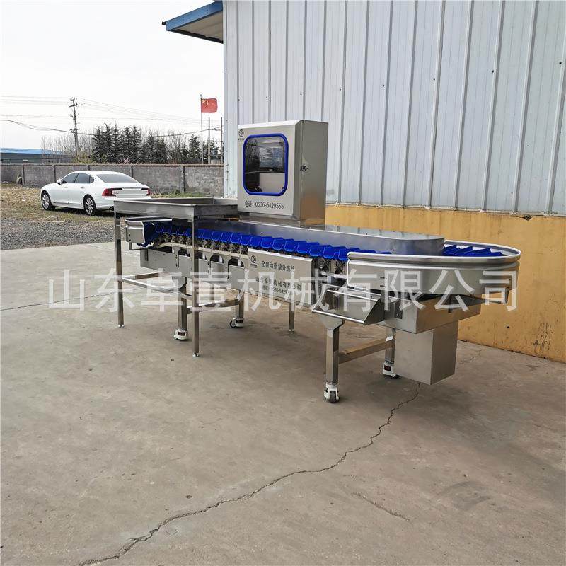 供应海蛎子重量分选机 海参分拣机鲍鱼称重分选机 牡蛎重量分选机,淘宝优惠券,粉丝福利购,淘宝优惠卷
