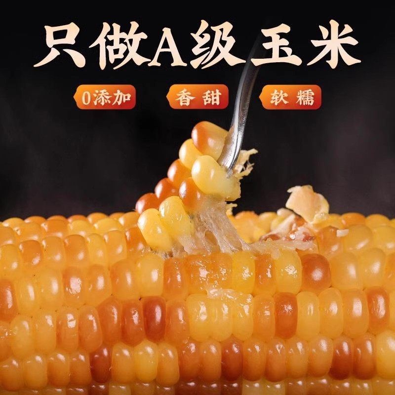 东北花糯玉米棒10棒花苞米现摘真空包装新货新鲜甜玉米粒粘非即食,淘宝优惠券,粉丝福利购,淘宝优惠卷