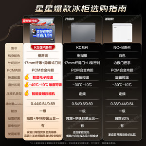 【星星变频冰柜】零下40℃家用200/300L小型冰柜冷藏冷冻减霜冷柜