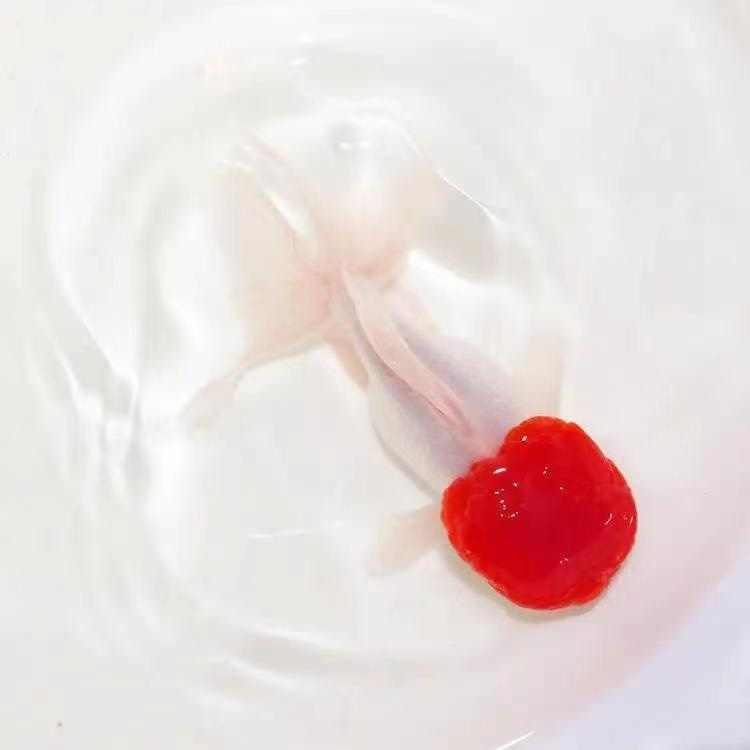 商品详情图片