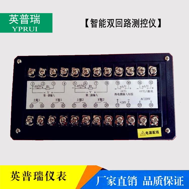 D823智能双回路测控仪温度压力液位双通道数字显示控制仪 - 图2
