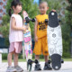 树毒迷你mini长板儿童专业滑板初学者男女青少年代步刷街舞步平花