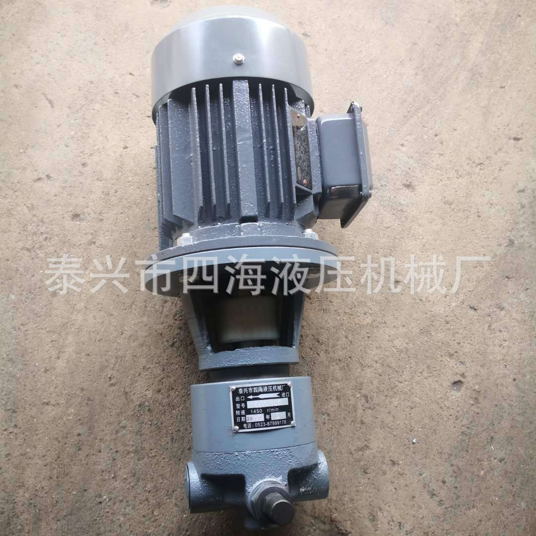 GDB-25Y/GDB16Y高粘度摆线齿轮泵GDB63Y/GDB40Y/GDB100Y GDB-160Y - 图1