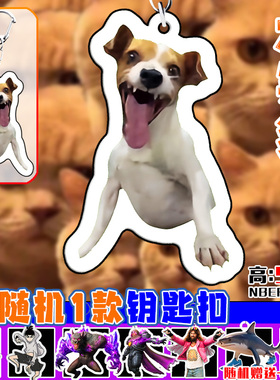 网红猫meme表情周边亚克力钥匙扣