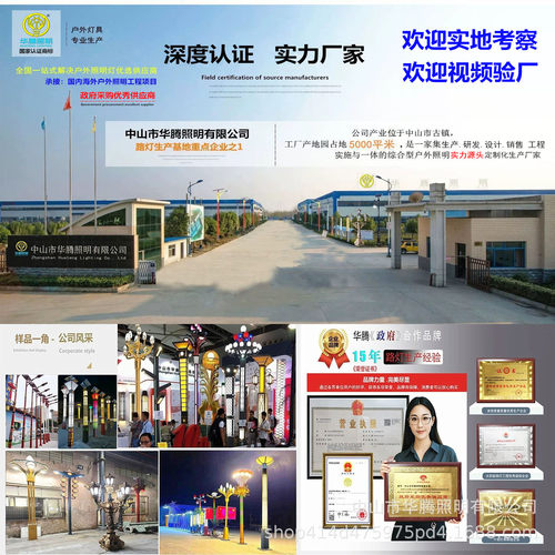 异形灯杆户外广场景观灯双臂庭院组合路灯 市政道路智慧路灯杆 - 图2