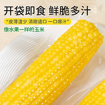 值得回购N次的玉米！田本部水果玉米[17元优惠券]-寻折猪