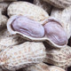 New arrivals: Boiled, sun-dried, salted and dried peanuts, garlic and spices, farmhouse multi-flavor shelled peanuts, nuts, roasted seeds and nuts snacks