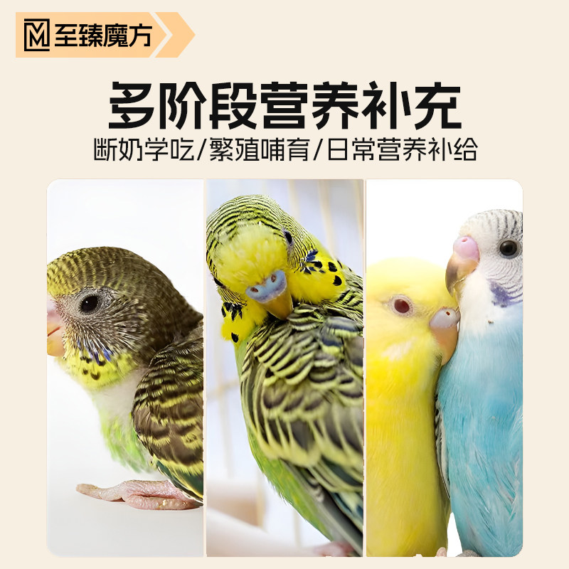 鹦鹉鸟粮食断奶期专用火龙果蛋黄米雏鸟和尚玄凤牡丹幼鸟学吃饲料 - 图3