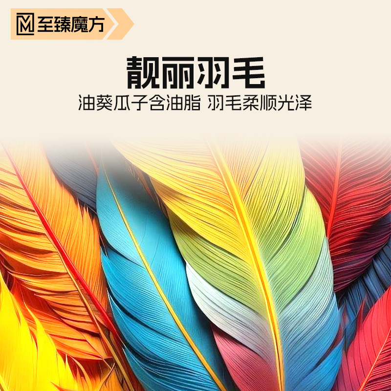 鹦鹉零食油葵黑瓜子玄凤牡丹和尚小太阳虎皮吸蜜驯鸟训练奖励零食,淘宝优惠券,粉丝福利购,淘宝优惠卷