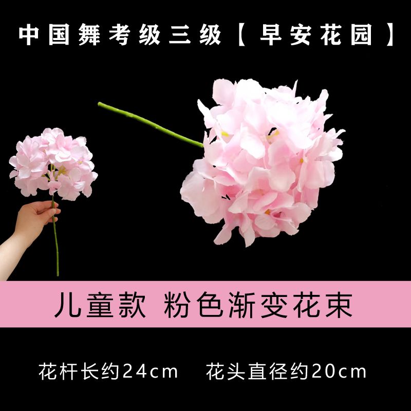文旅部艺术中心中国舞考级第三级早安花园花朵一束国舞三级考级