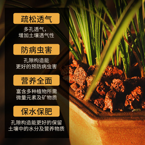 精筛天然火山石过滤培菌净水垫底黄金麦饭石颗粒大直径免洗铺面石 - 图0