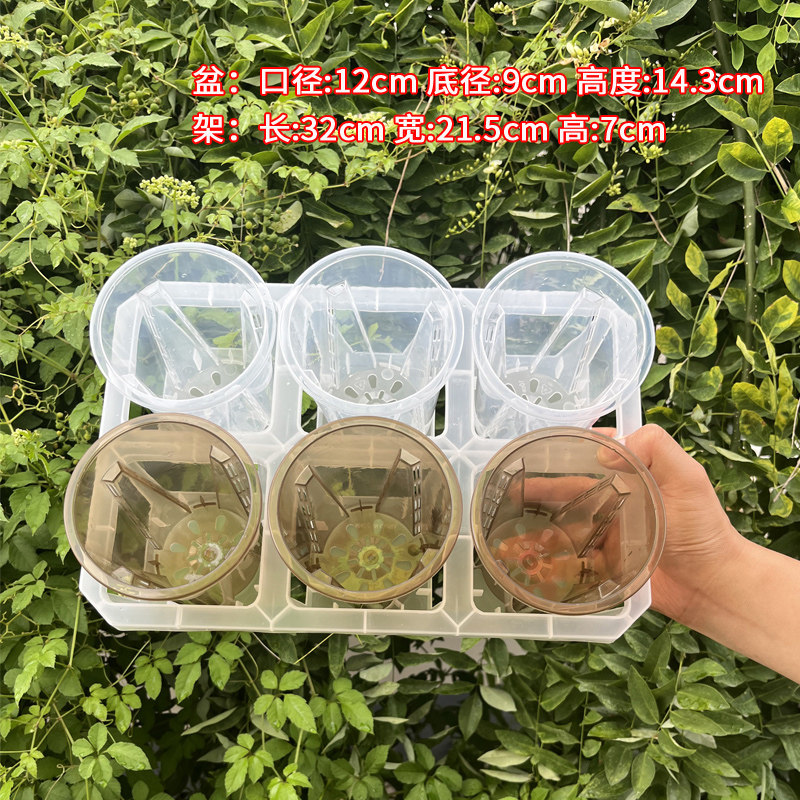 六格托架组合配10cm口径花盆透明色桌面阳台2.5寸杯青山花盆套盆,淘宝优惠券,粉丝福利购,淘宝优惠卷