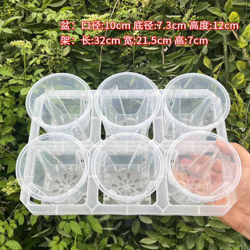 六格托架组合配10cm口径花盆透明色桌面阳台2.5寸杯青山花盆套盆,淘宝优惠券,粉丝福利购,淘宝优惠卷