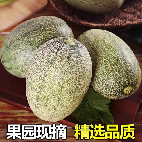 正宗哈密瓜脆甜9斤当季新鲜水果甜一整箱包邮现摘网纹瓜西州蜜 - 图2