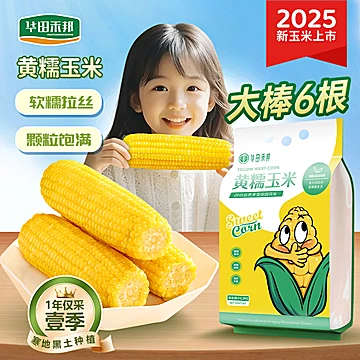 华田禾邦东北新鲜黄糯玉米1.2kg[10元优惠券]-寻折猪