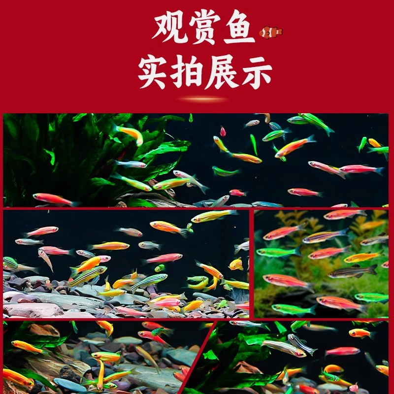 商品详情图片