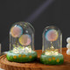 Dandelion eternal bouquet night light birthday gift for women