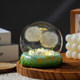 Dandelion eternal bouquet night light birthday gift for women