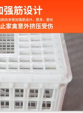鸡笼运输笼塑料周转箱装鸡筐鸡框子鹧鸪养殖笼大型鸭鹅兔鸽子笼