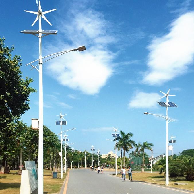 风光互补一体化太阳能路灯户外6米8米农村道路风力光伏发电路灯1 - 图2