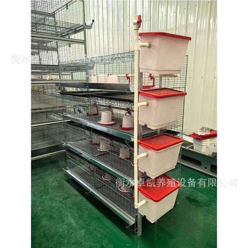 一体四层立式小鸡笼层叠式育雏笼自动化青年鸡笼养殖笼铁槽,淘宝优惠券,粉丝福利购,淘宝优惠卷