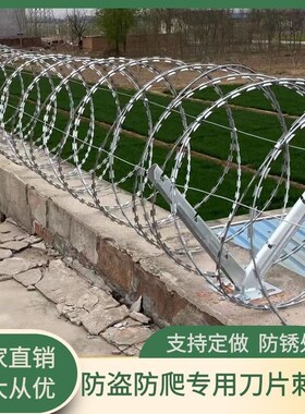 防盗刀片a刺绳不锈钢刀刺网围墙防爬带刺铁丝镀锌监狱学校围栏滚
