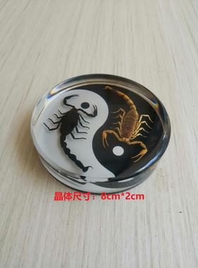 树脂摆件蝎子蜘蛛标本客厅办公室书房桌面摆设 创意家居饰品