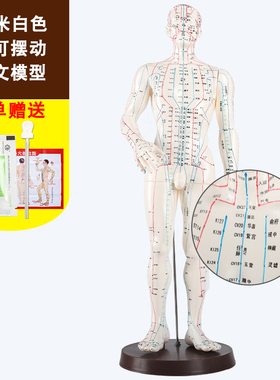 中医针灸穴位图人体模型50cm男女全身十二经络小皮人针灸穴位模型