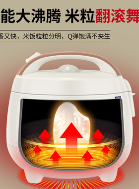 半球正品迷你电饭煲1.6L1-2人