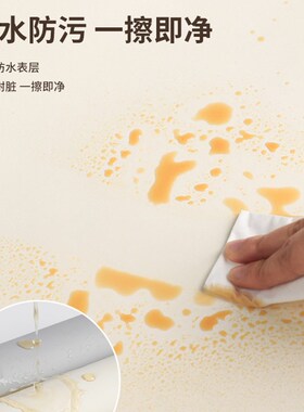白色柜子贴纸肤感家俱翻新自粘衣柜门改造改色神U器衣橱防水贴膜