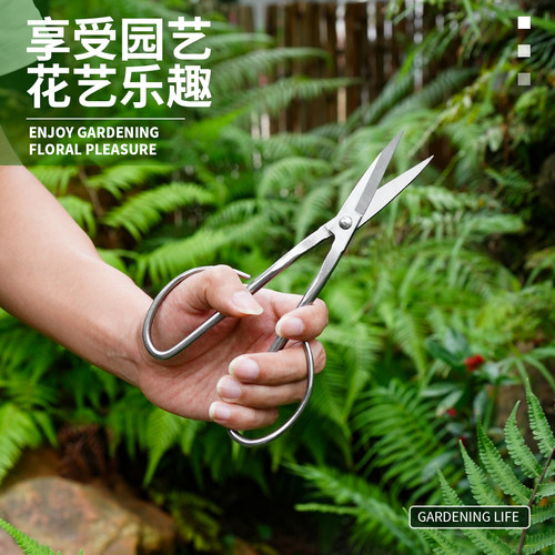 小巧匠不锈钢叶芽剪盆景专用修剪专业工具剪刀果树枝叶剪园艺剪刀 - 图3