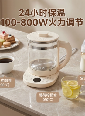 养生壶多功能家用烧水壶办公室小型炖煮一体煮茶壶家用电热水壶