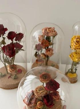 极速干燥花保存瓶玫瑰花束软木塞透明收纳展示盒永V生材料摆件制