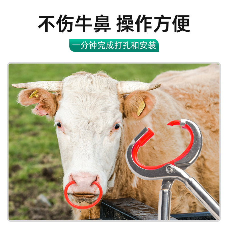 牛鼻环牛鼻圈安装钳不锈钢穿牛鼻孔神器牵引扣夹子打孔牛用品大全,淘宝优惠券,粉丝福利购,淘宝优惠卷