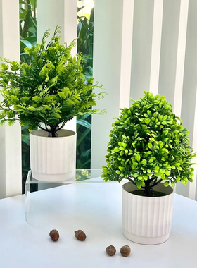 暖造仿真香菜草盆栽假花盆景