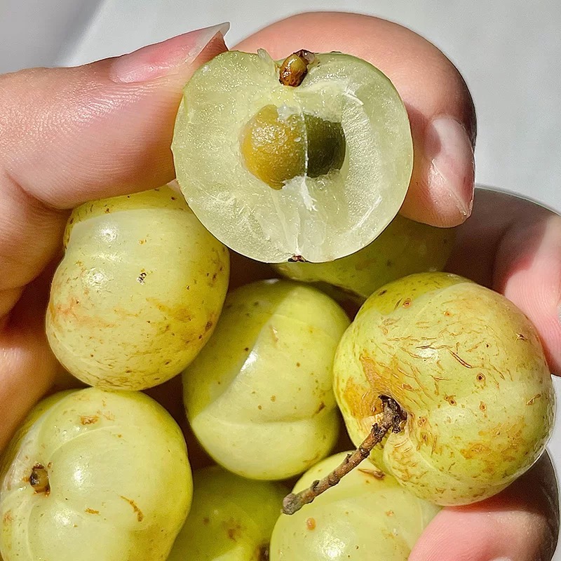 崩坎油甘果新鲜甜种油甘柿饼甜油甘牛甘榨汁余甘果玉油柑农家水果 - 图2