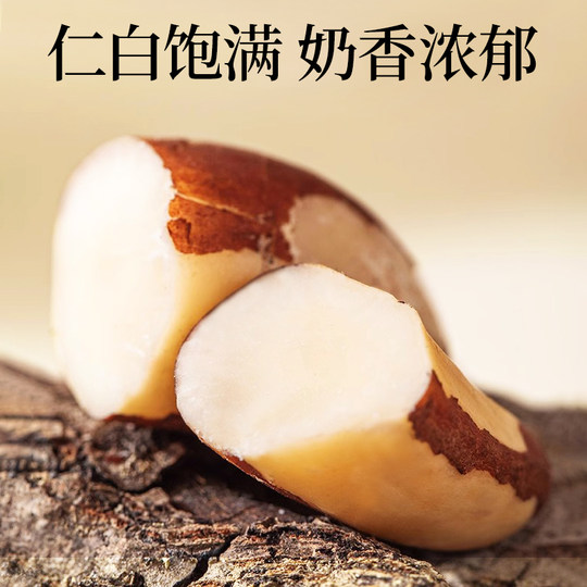 鲍鱼果仁500g罐装无壳原味生巴西坚果仁盐焗熟沙漠果孕妇干果零食