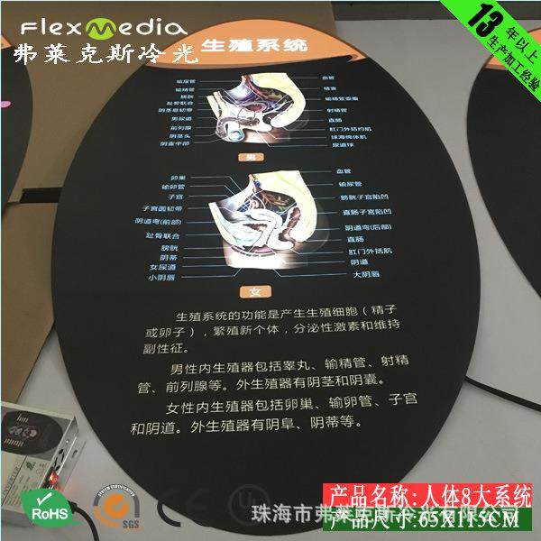 科技馆展馆新方案，人体八大系统－循环系统 EL冷光片，超薄灯箱,淘宝优惠券,粉丝福利购,淘宝优惠卷