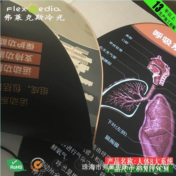 科技馆展馆新方案，人体八大系统－循环系统 EL冷光片，超薄灯箱,淘宝优惠券,粉丝福利购,淘宝优惠卷