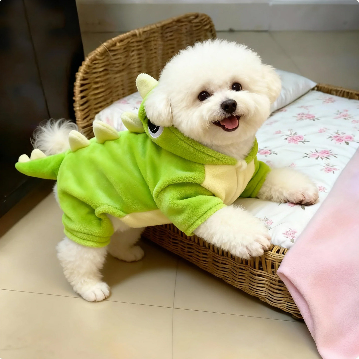 狗狗衣服秋冬款保暖可爱恐龙变身装可牵引比熊博美防掉毛猫咪服装,淘宝优惠券,粉丝福利购,淘宝优惠卷