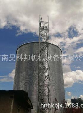 按需定制钢板仓 玉米仓 小麦仓 大型钢板仓厂家 镀锌钢板仓现场
