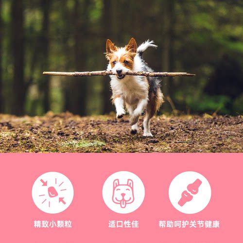 【临期特惠】Orijen渴望小型犬狗粮泰迪博美比熊专用粮犬粮4.5kg - 图1