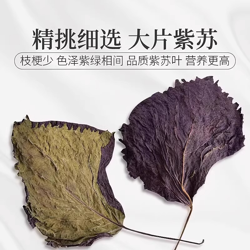 紫苏叶中药材食用干紫苏叶粉泡脚泡澡泡茶泡水非野生苏叶新鲜干货