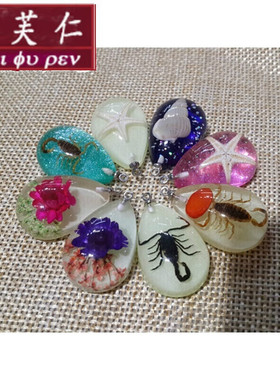 美芙仁宝茄荧发光夜海星