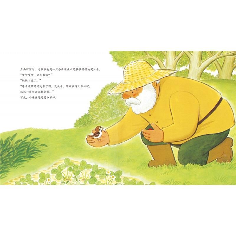 【点读版】善平爷爷的草莓 国际获奖平装绘本花园儿童图画故事书 幼儿园宝宝亲子阅读幼儿图书