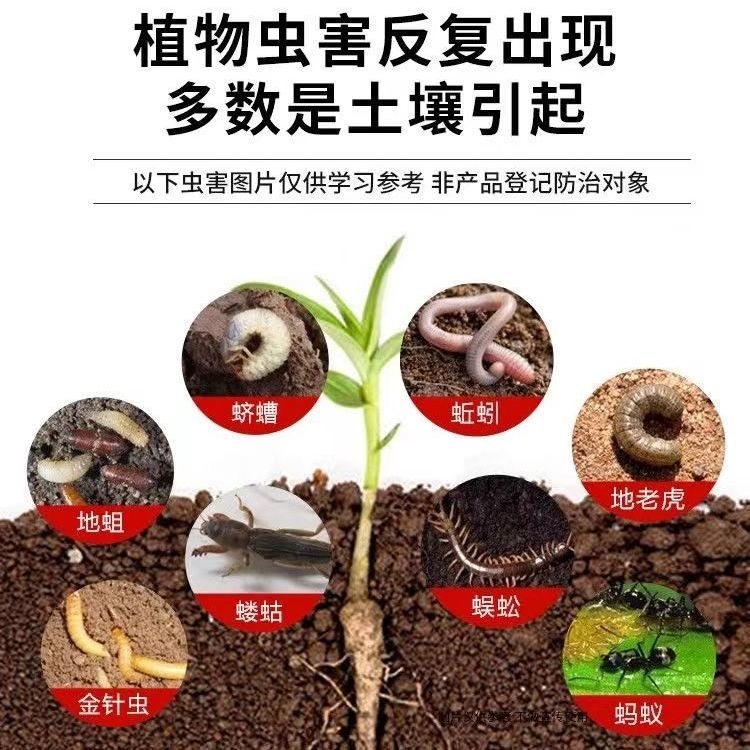 联苯噻虫胺颗粒地下害虫专用农药植物花卉土壤大豆蔬菜杀虫剂,淘宝优惠券,粉丝福利购,淘宝优惠卷
