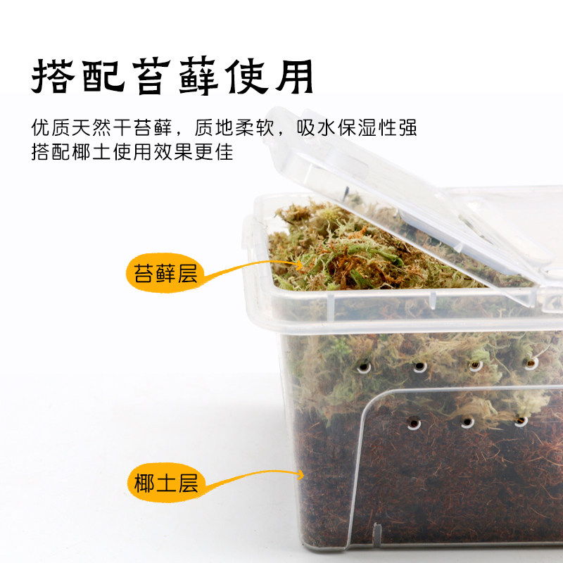 乌龟专用免泡椰土～椰糠垫料垫材冬眠保湿苔藓营养土爬宠,淘宝优惠券,粉丝福利购,淘宝优惠卷