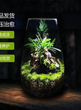 极速桌面微景观摆件办公室电脑桌工位解压装饰品送V朋友情绪稳定